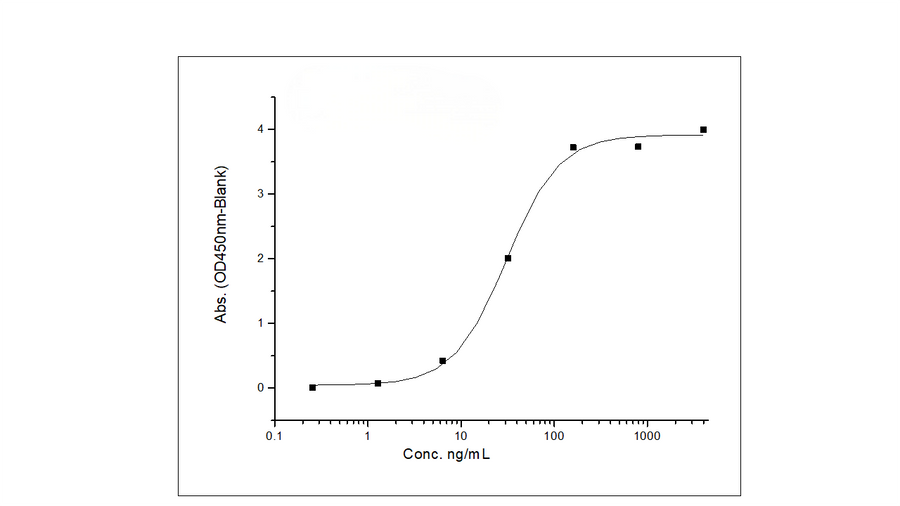 Immobilized Recombinant Human HER3 / ErbB3 Protein (Fc Tag) (Cat: PKSH031767) at 2 μg/mL (100 μL/well) can bind Anti-Human Her3 Antibody, Human IgG1, the EC<sub>50</sub> is 15-45 ng/mL.