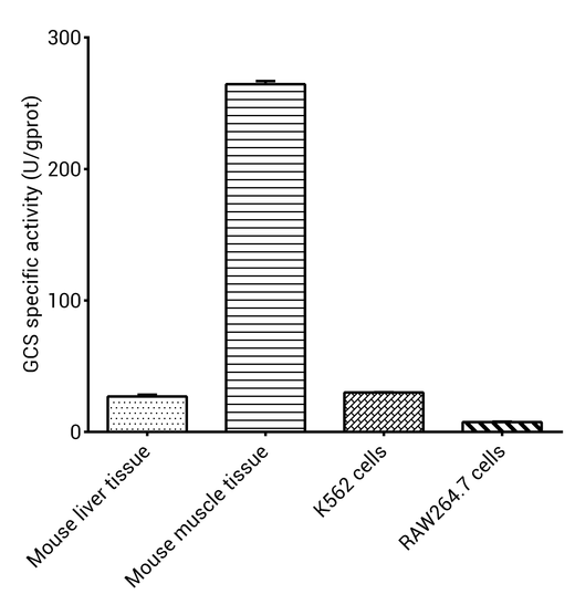 Glycogen Synthase(GCS) Activity Colorimetric Assay Kit - ABMIUM