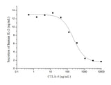 Measured by its ability to inhibit IL-2 secretion by stimulated Jurkat human acute T cell leukemia cells. The ED<sub>50</sub> for this effect is 0.1-0.5μg/mL when stimulated with 1 μg/mL Recombinant Human B7-1/CD80.