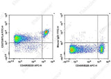 Anti-Mouse CD272 Antibody [PJ196] - ABMIUM