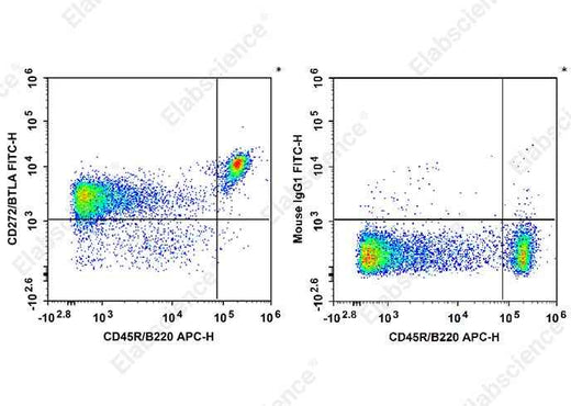 Anti-Mouse CD272 Antibody [PJ196] - ABMIUM