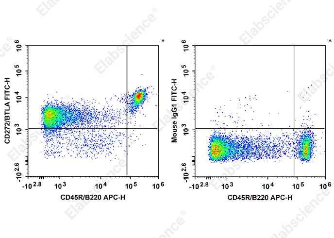 Anti-Mouse CD272 Antibody [PJ196] - ABMIUM