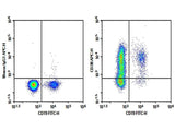 Anti-Human CD38 Antibody [AT13/5] - ABMIUM