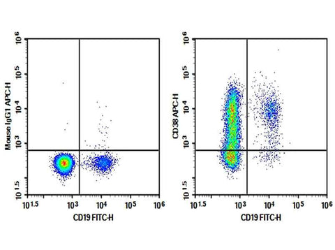 Anti-Human CD38 Antibody [AT13/5] - ABMIUM