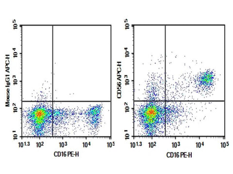 Human peripheral blood lymphocytes were stained with 0.2 μg Purified Anti-Human CD56 Antibody[5.1H11] (Right) and 0.2 μg Mouse IgG1, κ Isotype Control (Left), followed by APC-conjugated Goat Anti-Mouse IgG Secondary Antibody, then anti-Human CD16 PE-conjugated Monoclonal Antibody.