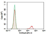 Anti-Human TCRVγ9 Antibody [B3] - ABMIUM
