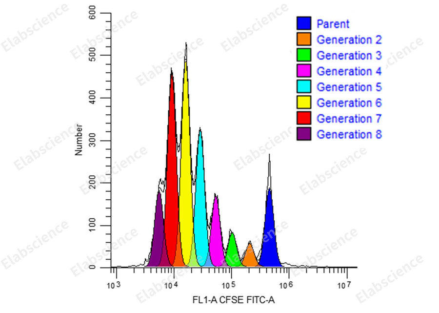 The mouse bone marrow-derived dendritic cells cultured in vitro were matured by LPS, and co-cultured withthe spleen of 4T1 tumor-bearing mice (E-CK-A345 staining). After co-staining with Elab Fluor<sup>®</sup> Red 780Anti-Mouse CD8a Antibody (E-AB-F1104S) and APC Anti-Mouse CD4 (E-AB-F1097E), detect theproliferation of CD8+T cells.