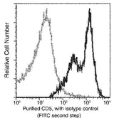 Anti-Rat CD5 Antibody [A1108] - ABMIUM