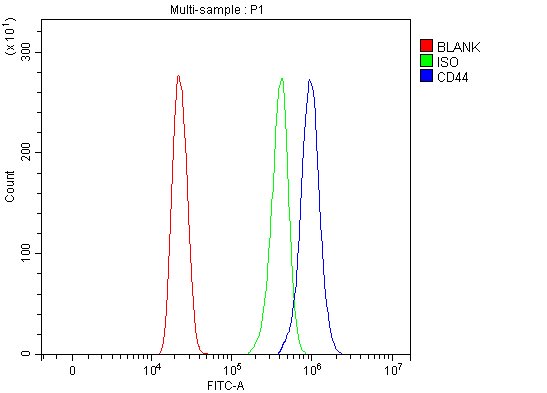 Anti-CD44 antigen CD44 Antibody Picoband® Boster Bio