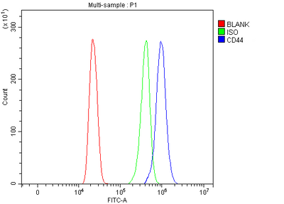 Anti-CD44 antigen CD44 Antibody Picoband® Boster Bio