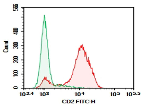 Human peripheral blood lymphocytes were stained with 0.2 μg Purified Anti-Human CD2 Antibody[RPA-2.10] (Right) and 0.2 μg Mouse IgG1, κ Isotype Control (Left), followed by FITC-conjugated Goat Anti-Mouse IgG Secondary Antibody.
