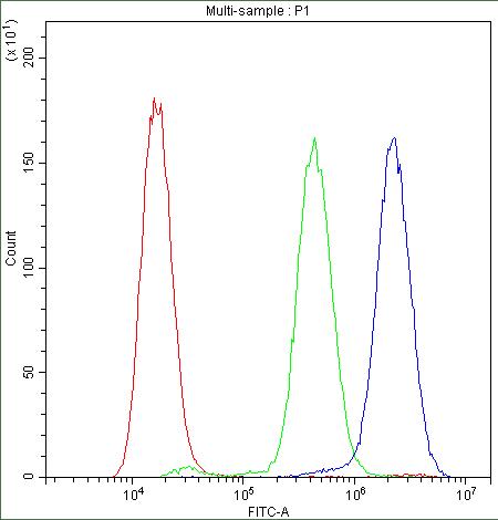 Anti-ADO Antibody Picoband® Boster Bio