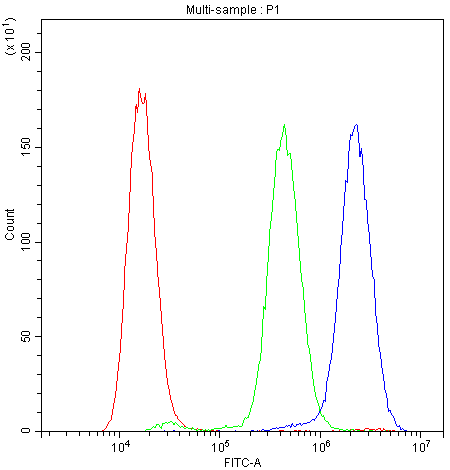 Anti-ADO Antibody Picoband® Boster Bio