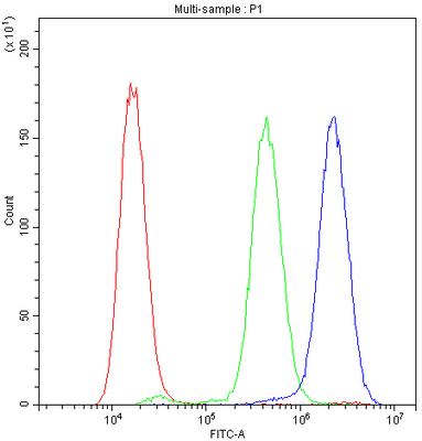Anti-ADO Antibody Picoband® Boster Bio