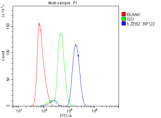 Anti-Smad Interacting Protein 1/ZEB2 Antibody Picoband® Boster Bio