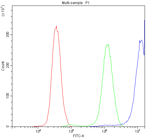 Anti-CCT3 Antibody Picoband® Boster Bio