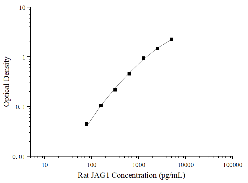 Uncoated Rat JAG1 (Jagged 1 Protein) ELISA Kit - ABMIUM
