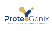 Buy Human Beta-catenin recombinant protein in Escherichia coli (E.coli) system at competitive price. Order Human Beta-catenin recombinant protein at ProteoGenix.