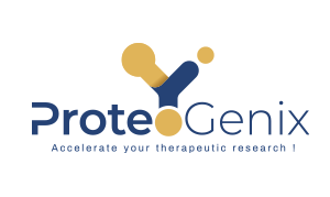 Buy Human Beta-catenin recombinant protein in Escherichia coli (E.coli) system at competitive price. Order Human Beta-catenin recombinant protein at ProteoGenix.