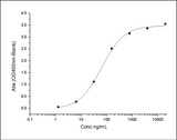 Measured by its binding ability in a functional ELISA. Immobilized mouse EPHA5 at 2 μg/ml (100 μl/well) can bind mouse EFNA4-Fc with a linear range of 1.28-32 ng/ml.
