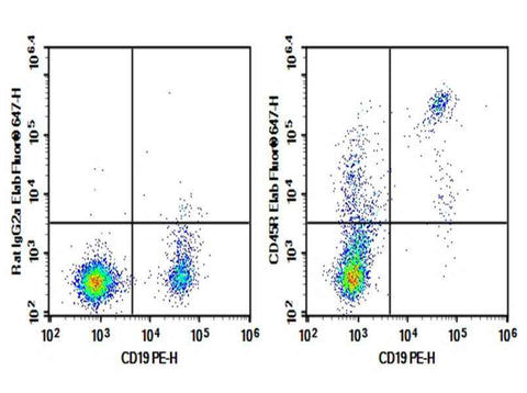 Anti-Mouse CD45RO Antibody [RA3-6B2] - ABMIUM