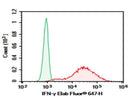 Anti-Human IFN-γ Antibody [4S.B3] - ABMIUM