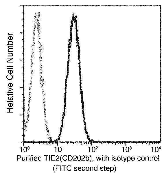 Anti-Human TEK Antibody [B119] - ABMIUM