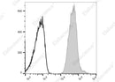 Anti-Human HLA-A2,B7 Antibody [BB7.6] - ABMIUM