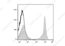 Anti-Mouse CD45R/B220 Antibody [RA3-6B2] - ABMIUM