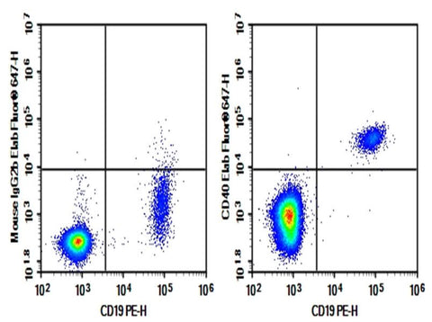 Human peripheral blood lymphocytes cell were stained with 0.2 μg Purified Anti-Human CD40 Antibody[3A8] (Right) and 0.2 μg Mouse IgG1, κ Isotype Control (Left), followed by Elab Fluor<sup>®</sup> 647-conjugated Goat Anti-Mouse IgG Secondary Antibody, then anti-human CD19 PE-conjugated Monoclonal Antibody.