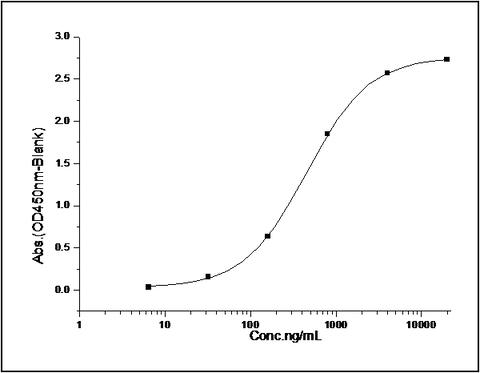 Measured by its binding ability in a functional ELISA. Immobilized mouse IL13RA1-His (Cat: PKSM040873) at 10 μg/mL (100 μL/well) can bind human Fc-IL13(Cat: PKSH032457), the EC<sub>50</sub> of human Fc-IL13 is 0.5-1.5 μg/mL.