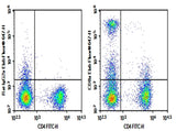 C57/BL6 Mouse splenocytes were stained with 0.2 μg AF/LE Purified Anti-Mouse CD8a Antibody[53-6.7] (Right) and 0.2 μg Rat IgG2a, κ Isotype Control (Left), followed by Elab Fluor<sup>®</sup> 647-conjugated Goat Anti-Rat IgG Secondary Antibody, then anti-Mouse CD4 FITC-conjugated Monoclonal Antibody.