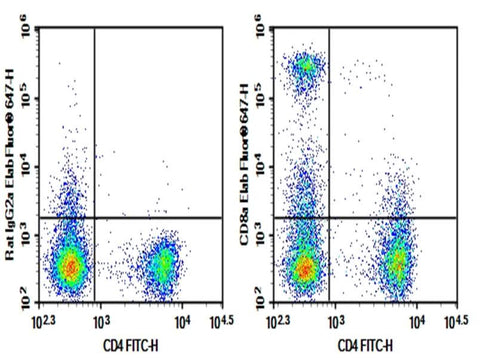 C57/BL6 Mouse splenocytes were stained with 0.2 μg AF/LE Purified Anti-Mouse CD8a Antibody[53-6.7] (Right) and 0.2 μg Rat IgG2a, κ Isotype Control (Left), followed by Elab Fluor<sup>®</sup> 647-conjugated Goat Anti-Rat IgG Secondary Antibody, then anti-Mouse CD4 FITC-conjugated Monoclonal Antibody.