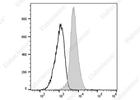 Anti-Rat CD172a Antibody [OX-41] - ABMIUM