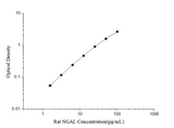 Rat NGAL(NeutrophilGelatinase Associated Lipocalin) ELISA Kit - ABMIUM