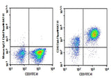 Human peripheral blood lymphocytes cell were stained with 0.2 μg Purified Anti-Human CD6 Antibody[HI210] (Right) and 0.2 μg Mouse IgG1, κ Isotype Control (Left), followed by Elab Fluor<sup>®</sup>647-conjugated Goat Anti-Mouse IgG Secondary Antibody, then anti-Human CD3 FITC-conjugated Monoclonal Antibody.