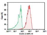 Anti-Human CLEC-2 Antibody [AYP1] - ABMIUM