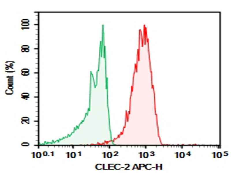 Anti-Human CLEC-2 Antibody [AYP1] - ABMIUM