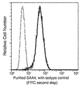 Anti-Human SAA4 Antibody [B149]