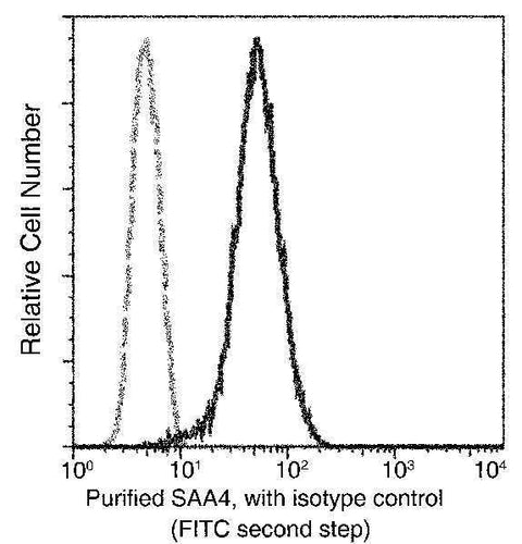 Anti-Human SAA4 Antibody [B149] - ABMIUM