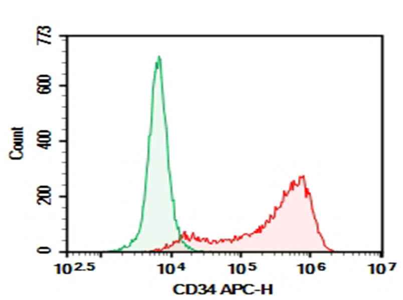 Anti-Human CD34 Antibody [561] - ABMIUM