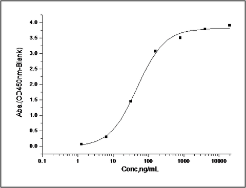 Measured by its binding ability in a functional ELISA. Immobilized recombinant mouse CD200 at 1 μg/ml (100 μl/well) can bind mouse CD200R1/Fc with a linear range of 1.5-200 ng/ml.