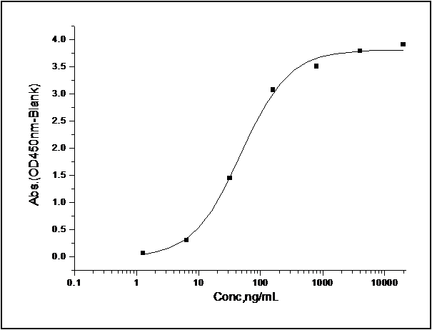 Measured by its binding ability in a functional ELISA. Immobilized recombinant mouse CD200 at 1 μg/ml (100 μl/well) can bind mouse CD200R1/Fc with a linear range of 1.5-200 ng/ml.