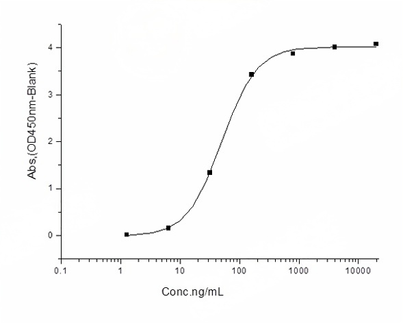 Immobilized human ACE2 protein (Fc tag) (Cat: PKSH031870) at 2 μg/mL (100 μL/well) can bind SARS-CoV-2/2019-nCoV Spike Protein (RBD, His Tag) (Cat: PKSR030499), the EC<sub>50</sub> of SARS-CoV-2/2019-nCoV Spike Protein (RBD, His Tag) (Cat: PKSR030499) is 30-60 ng/mL.