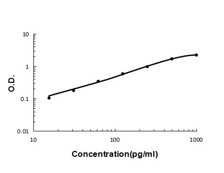 Anti-Interleukin-13 IL13 Antibody Boster Bio
