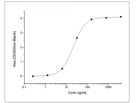 Immobilized Recombinant Human VEGFR1 / FLT-1 Protein (His Tag) (Cat: PKSH031841) at 2 μg/mL (100 μL/well) can bind Recombinant Human / Cynomolgus VEGF / VEGFA / VEGF165 Protein (Cat: PKSH031978), the EC<sub>50</sub>  is 9.7-29.3 ng/mL.