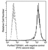Anti-Human TSPAN1 Antibody [B182]