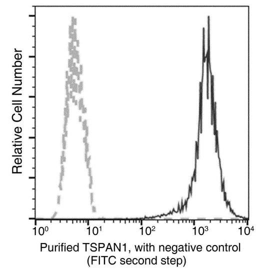 Anti-Human TSPAN1 Antibody [B182] - ABMIUM