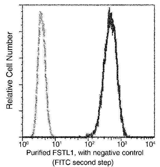 Anti-Human FSTL1 Antibody [B128] - ABMIUM
