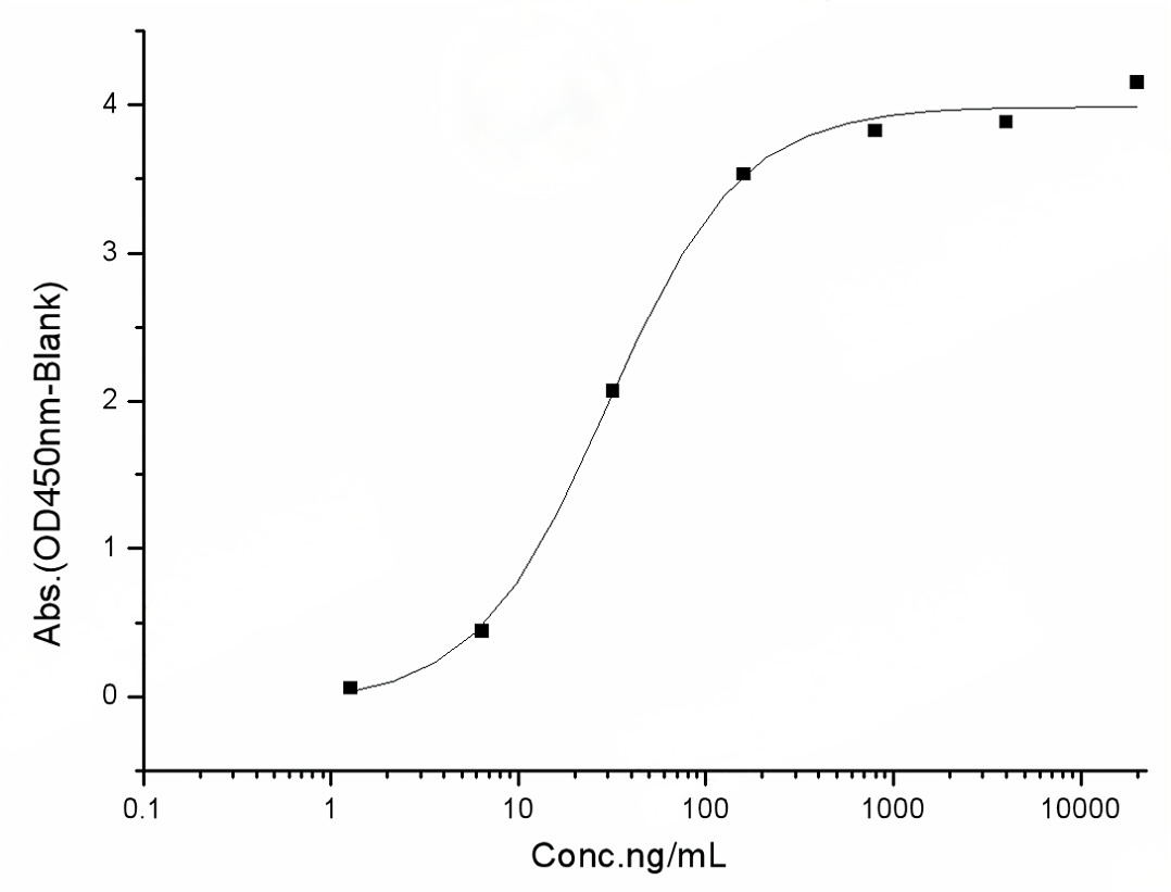 Measured by its binding ability in a functional ELISA. Immobilized human ACE2 protein (Fc tag)(Cat: PKSH031870) at 2 μg/mL (100 μL/well) can bind SARS-CoV-2 (2019-nCoV) Spike RBD-His (V367F) Recombinant Protein (PKSR030524), the EC<sub>50</sub> of SARS-CoV-2 (2019-nCoV) Spike RBD-His (V367F) Recombinant Protein (PKSR030524) is 20-50 ng/mL.